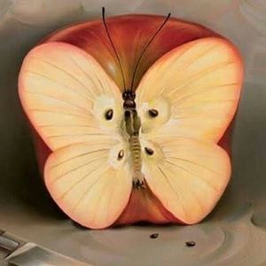 Meet your Posher, Renee